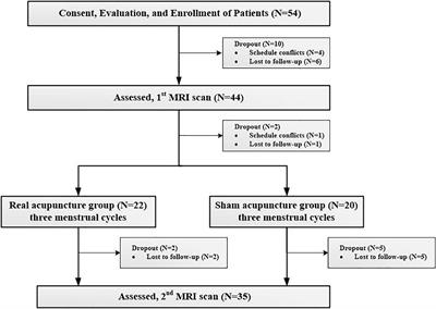 Resting-State Functional Connectivity Patterns Predict Acupuncture Treatment Response in Primary Dysmenorrhea